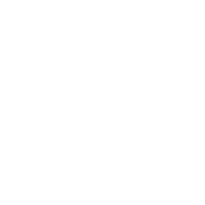 Logotipo de Estel Beauty, símbolo de calidad en logística en Odessa de México.